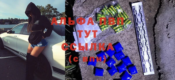 стафф Абинск