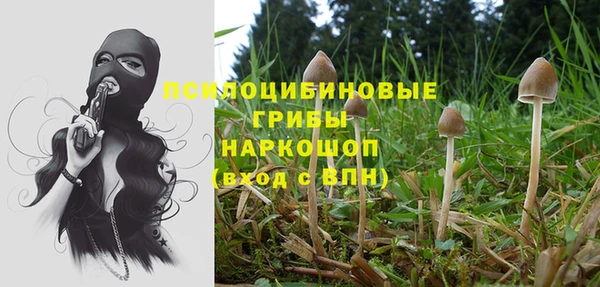 jwh Пестово