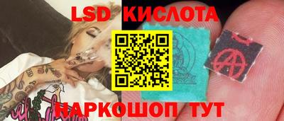 PSILOCYBIN Будённовск