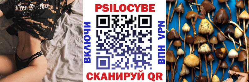 купить   Кимовск  Галлюциногенные грибы Cubensis 