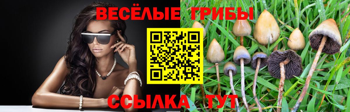 Псилоцибиновые грибы Cubensis  Галлюциногенные грибы GOLDEN TEACHER  Кимовск  Вход с VPN 