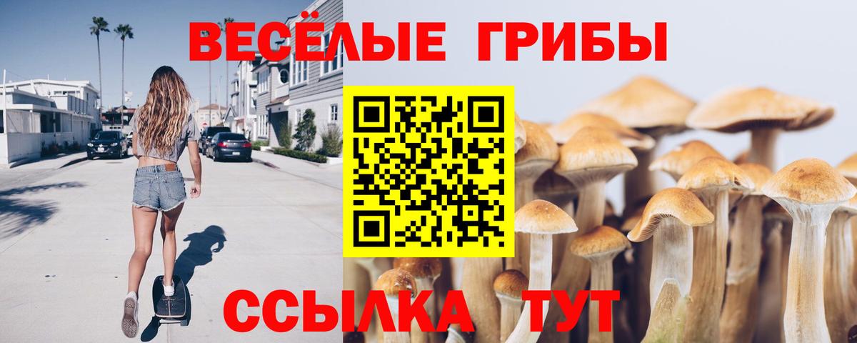 Псилоцибиновые грибы Psilocybine cubensis Кимовск