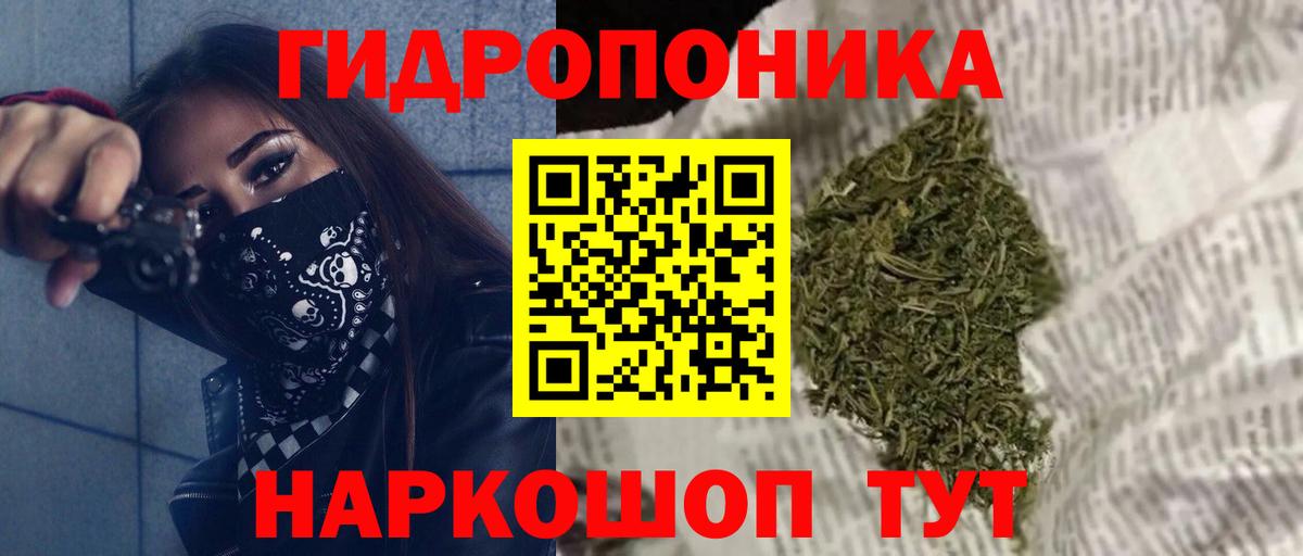 Шишки марихуана VHQ Кимовск